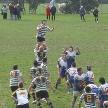 It?s an eastern suburbs one-two for the Jubilee Cup semi-finals